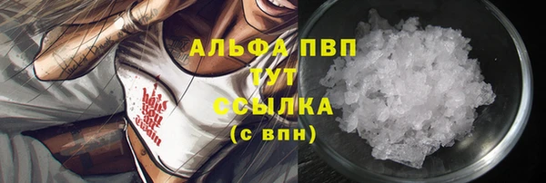 эйфоретик Арсеньев