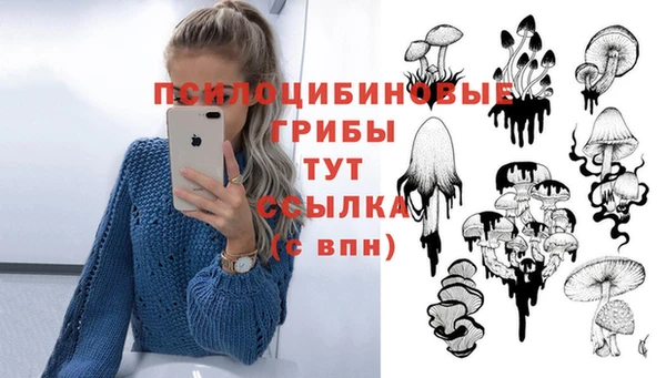 гидропоника Алексеевка