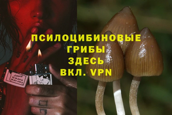 гидропоника Алексеевка