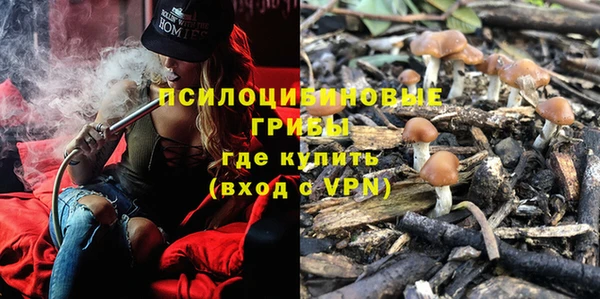 гидропоника Алексеевка